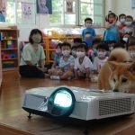 中正非營利幼兒園／雲林虎尾 67 - Travel of Rice 小米遊記