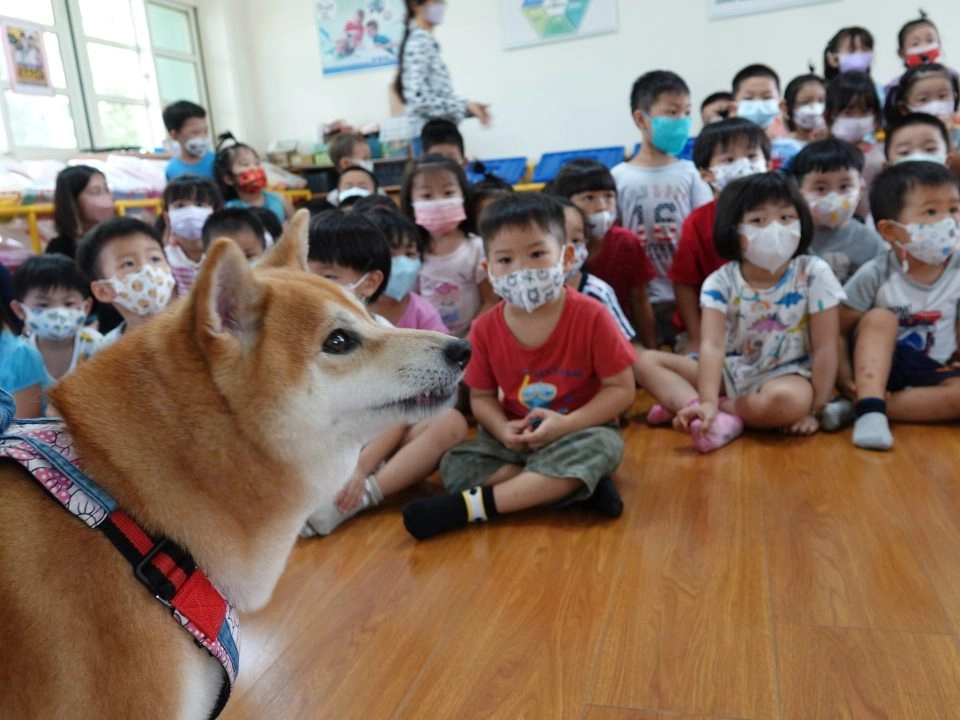 中正非營利幼兒園/雲林虎尾 68 - Travel of Rice 小米遊記 中正非營利幼兒園/雲林虎尾 68 - Travel of Rice 小米遊記