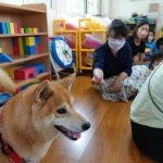 中正非營利幼兒園／雲林虎尾 69 - Travel of Rice 小米遊記