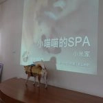 中正非營利幼兒園／雲林虎尾 70 - Travel of Rice 小米遊記