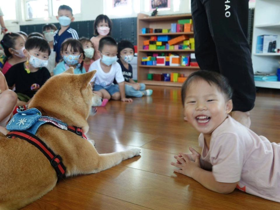 中正非營利幼兒園/雲林虎尾 73 - Travel of Rice 小米遊記 中正非營利幼兒園/雲林虎尾 73 - Travel of Rice 小米遊記