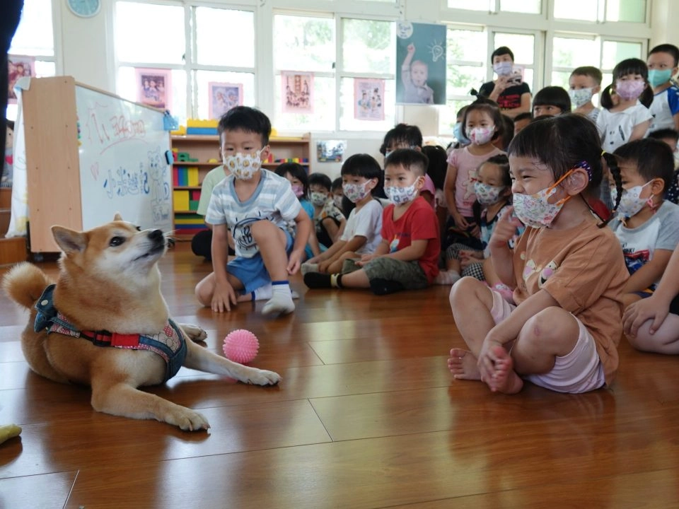 中正非營利幼兒園/雲林虎尾 75 - Travel of Rice 小米遊記 中正非營利幼兒園/雲林虎尾 75 - Travel of Rice 小米遊記