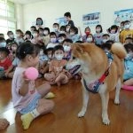 中正非營利幼兒園／雲林虎尾 76 - Travel of Rice 小米遊記