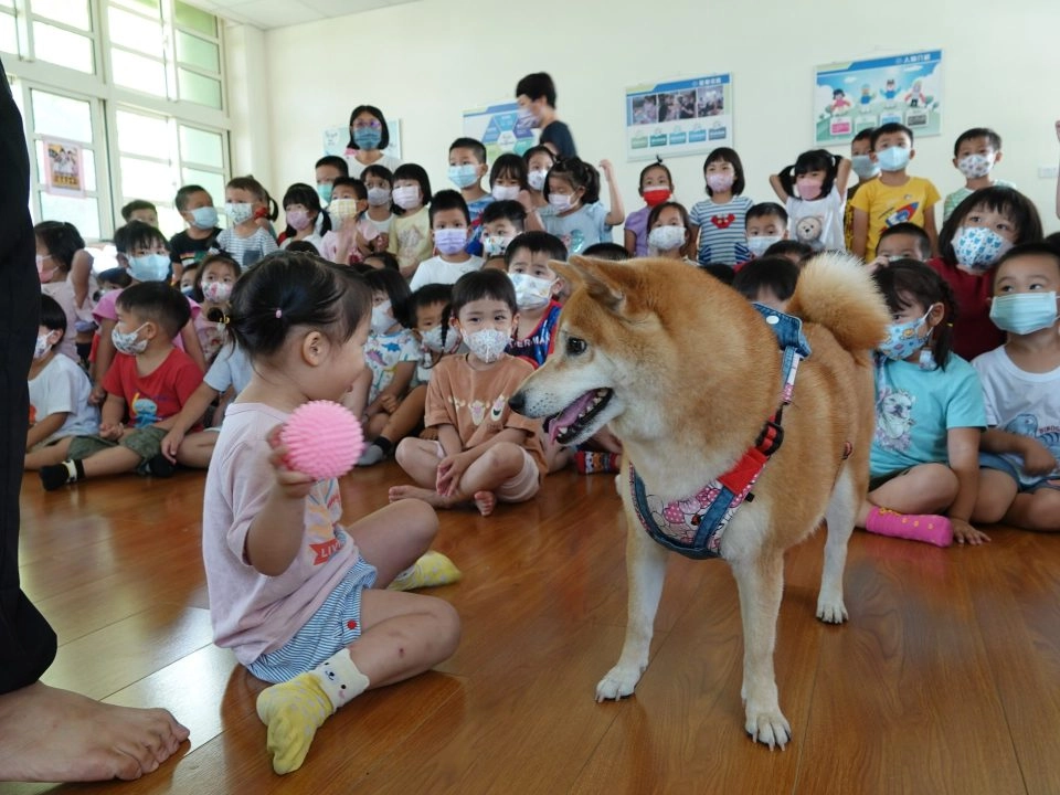 中正非營利幼兒園/雲林虎尾 76 - Travel of Rice 小米遊記 中正非營利幼兒園/雲林虎尾 76 - Travel of Rice 小米遊記