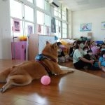 中正非營利幼兒園／雲林虎尾 77 - Travel of Rice 小米遊記