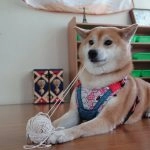 中正非營利幼兒園／雲林虎尾 83 - Travel of Rice 小米遊記