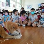 中正非營利幼兒園／雲林虎尾 85 - Travel of Rice 小米遊記