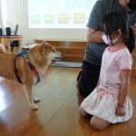 中正非營利幼兒園／雲林虎尾 95 - Travel of Rice 小米遊記