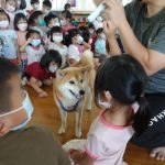 中正非營利幼兒園／雲林虎尾 97 - Travel of Rice 小米遊記