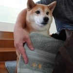 中正非營利幼兒園／雲林虎尾 108 - Travel of Rice 小米遊記