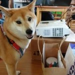 中正非營利幼兒園／雲林虎尾 113 - Travel of Rice 小米遊記