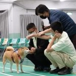 屏東高工進修部/屏東屏東 56 - Travel of Rice 小米遊記 屏東高工進修部/屏東屏東 56 - Travel of Rice 小米遊記