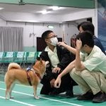 屏東高工進修部/屏東屏東 58 - Travel of Rice 小米遊記 屏東高工進修部/屏東屏東 58 - Travel of Rice 小米遊記