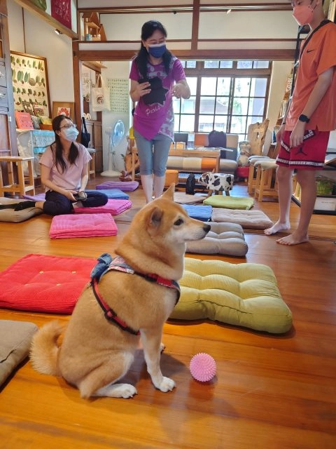 新故鄉文教發展協會/屏東市 33 - Travel of Rice 小米遊記 新故鄉文教發展協會/屏東市 33 - Travel of Rice 小米遊記