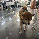 國立聯合大學八甲校區／苗栗市 84 - Travel of Rice 小米遊記