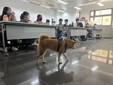 國立聯合大學八甲校區/苗栗市 85 - Travel of Rice 小米遊記 國立聯合大學八甲校區/苗栗市 85 - Travel of Rice 小米遊記
