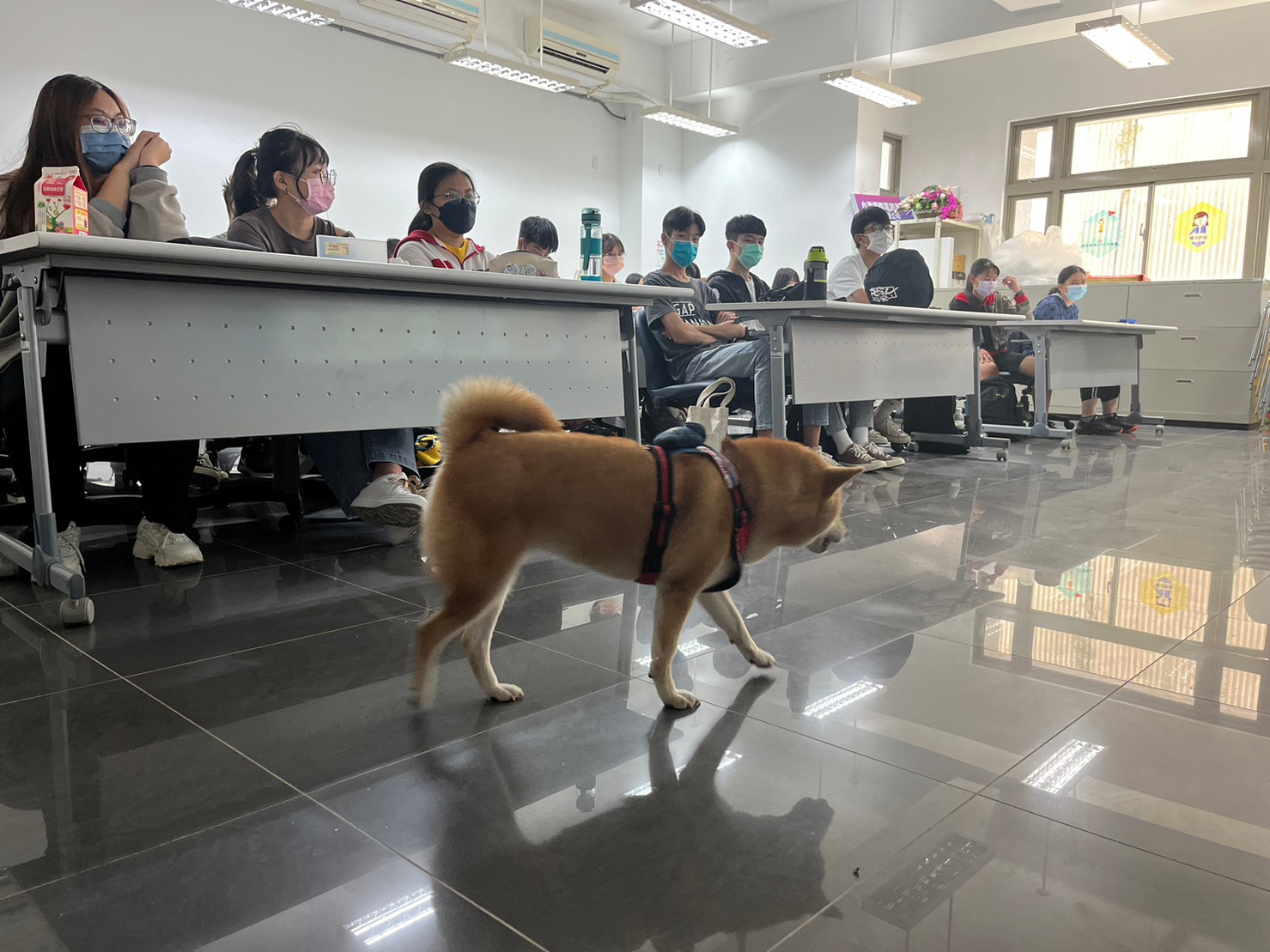 國立聯合大學八甲校區/苗栗市 62 - Travel of Rice 小米遊記 國立聯合大學八甲校區/苗栗市 62 - Travel of Rice 小米遊記