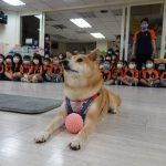 新東湖非營利幼兒園／新北內湖 57 - Travel of Rice 小米遊記