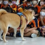 新東湖非營利幼兒園／新北內湖 60 - Travel of Rice 小米遊記