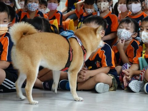 新東湖非營利幼兒園／新北內湖 60 - Travel of Rice 小米遊記