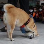 新東湖非營利幼兒園／新北內湖 64 - Travel of Rice 小米遊記