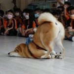 新東湖非營利幼兒園／新北內湖 65 - Travel of Rice 小米遊記