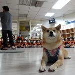 新東湖非營利幼兒園／新北內湖 70 - Travel of Rice 小米遊記