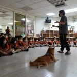 新東湖非營利幼兒園／新北內湖 74 - Travel of Rice 小米遊記