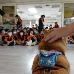 新東湖非營利幼兒園／新北內湖 78 - Travel of Rice 小米遊記