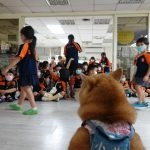 新東湖非營利幼兒園／新北內湖 79 - Travel of Rice 小米遊記