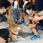 新東湖非營利幼兒園／新北內湖 82 - Travel of Rice 小米遊記