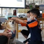 新東湖非營利幼兒園／新北內湖 86 - Travel of Rice 小米遊記