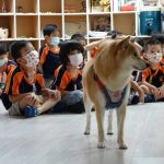 新東湖非營利幼兒園／新北內湖 90 - Travel of Rice 小米遊記