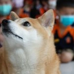 新東湖非營利幼兒園／新北內湖 92 - Travel of Rice 小米遊記