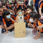 新東湖非營利幼兒園／新北內湖 95 - Travel of Rice 小米遊記