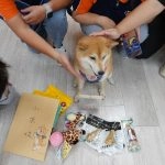 新東湖非營利幼兒園／新北內湖 97 - Travel of Rice 小米遊記