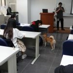 國立聯合大學八甲校區／苗栗市 63 - Travel of Rice 小米遊記