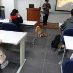 國立聯合大學八甲校區／苗栗市 64 - Travel of Rice 小米遊記