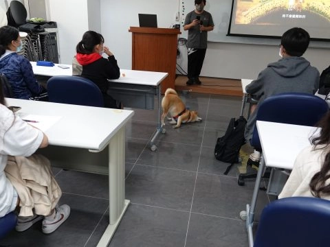 國立聯合大學八甲校區/苗栗市 64 - Travel of Rice 小米遊記 國立聯合大學八甲校區/苗栗市 64 - Travel of Rice 小米遊記
