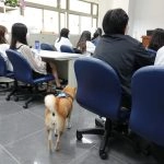 國立聯合大學八甲校區／苗栗市 67 - Travel of Rice 小米遊記