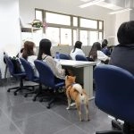 國立聯合大學八甲校區／苗栗市 68 - Travel of Rice 小米遊記