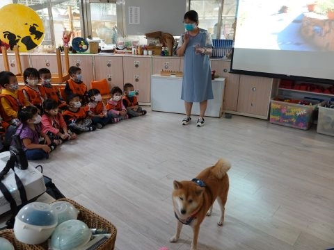 新東湖非營利幼兒園/台北內湖 46 - Travel of Rice 小米遊記 新東湖非營利幼兒園/台北內湖 46 - Travel of Rice 小米遊記
