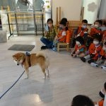 新東湖非營利幼兒園／台北內湖 48 - Travel of Rice 小米遊記