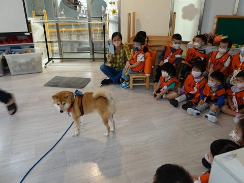 新東湖非營利幼兒園/台北內湖 48 - Travel of Rice 小米遊記 新東湖非營利幼兒園/台北內湖 48 - Travel of Rice 小米遊記