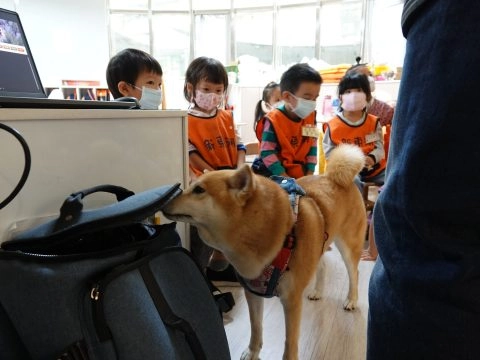 新東湖非營利幼兒園/台北內湖 56 - Travel of Rice 小米遊記 新東湖非營利幼兒園/台北內湖 56 - Travel of Rice 小米遊記