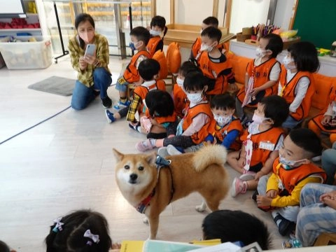 新東湖非營利幼兒園/台北內湖 58 - Travel of Rice 小米遊記 新東湖非營利幼兒園/台北內湖 58 - Travel of Rice 小米遊記