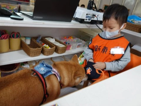 新東湖非營利幼兒園/台北內湖 59 - Travel of Rice 小米遊記 新東湖非營利幼兒園/台北內湖 59 - Travel of Rice 小米遊記