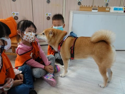 新東湖非營利幼兒園/台北內湖 60 - Travel of Rice 小米遊記 新東湖非營利幼兒園/台北內湖 60 - Travel of Rice 小米遊記