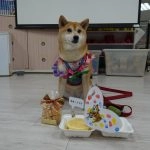 新東湖非營利幼兒園／台北內湖 70 - Travel of Rice 小米遊記
