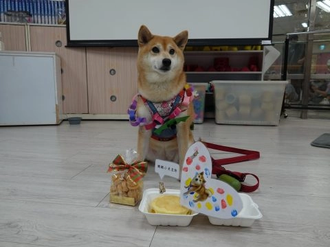 新東湖非營利幼兒園/台北內湖 70 - Travel of Rice 小米遊記 新東湖非營利幼兒園/台北內湖 70 - Travel of Rice 小米遊記